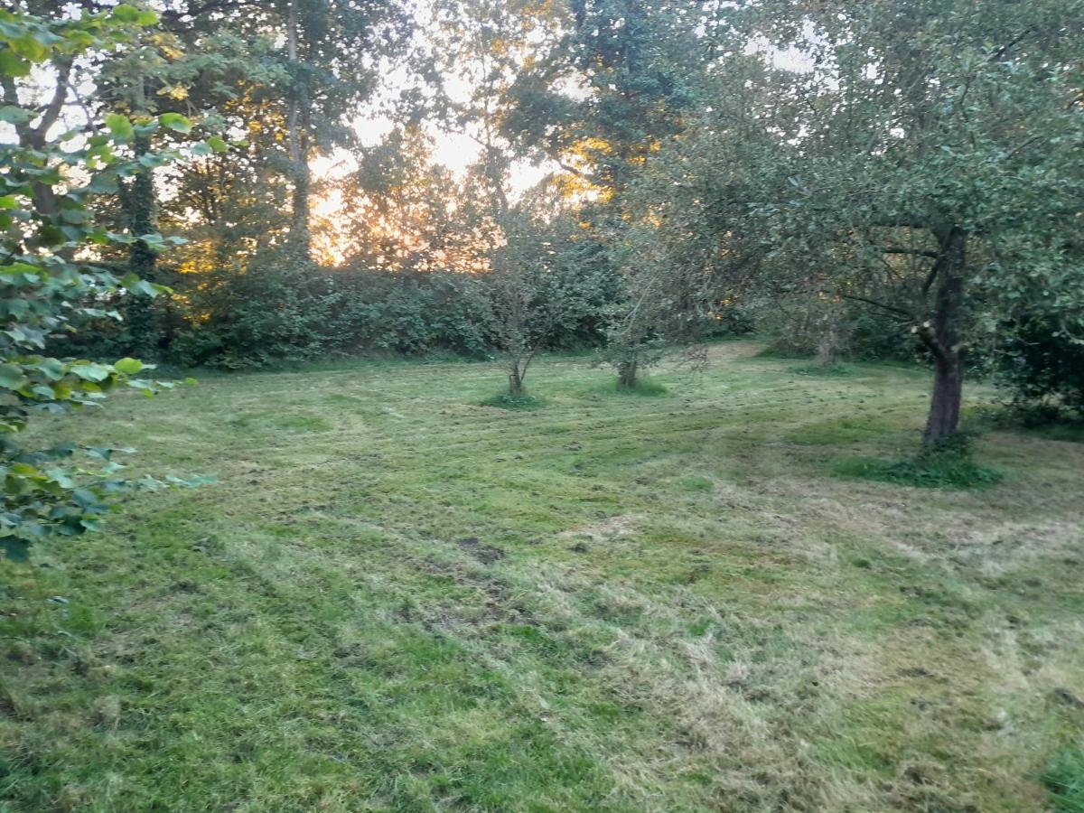 Bed and Breakfast Achter De Vesting Bourtange Esterno foto